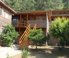 Turkmen Tree Houses