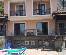 Villa Grande Olive 1/2