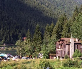 villa uzungöl