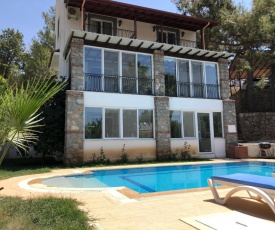 Villa with a private pool and mountain view in a quiet area next to fores