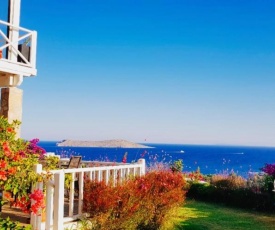 Beautiful Villa in Bodrum Gümüslük for Families and Couples