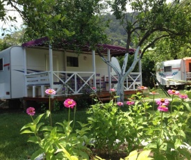 Bellerofon Camping
