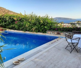 Bodrum Ageon Thears Villa