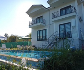 Charming Villa with Private Pool in Sapanca