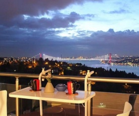 Cozy Apartment with Fascinating Bosphorus View in Uskudar