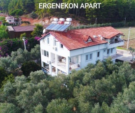 Ergenekon Apart