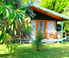 Etenna Beach Bungalows