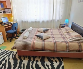 Flat Room Ankara Cankaya Apart