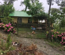 Her şeyden uzak, çam ormanı içerisinde Yayla Evi