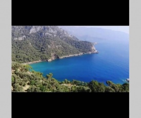 Kabak Apart