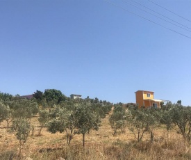 Lavender Tiny Houses