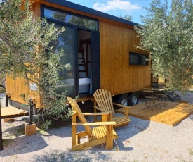 Lovely Tiny House Surrounded by Olive Trees near Beach in Ayvacik