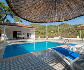 Lovely Villa with Private Pool Surrounded by Nature near Dalyan