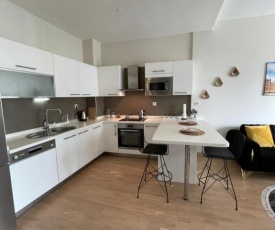 LUX APARTMENT FOR RENT IN ISTANBUL NEAR MALL