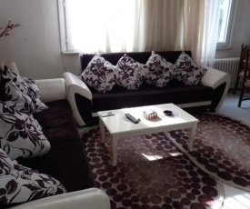 Luxurious apartment for tourist rent