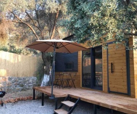 Makri Tiny House Faralya