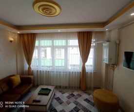 Mir comfort hotel