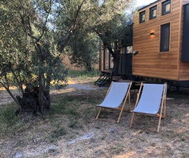 Modern Tiny House Surrounded by Olive Grove near Beach in Ayvacik