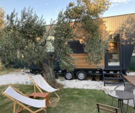 Modern Tiny House Surrounded by Olive Trees in Ayvacik