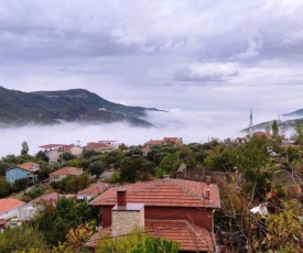 Muhtesem manzarali somineli dag orman evi