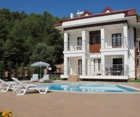 Olympia Villa 1