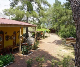 Olympos Tanrılar Kulubu