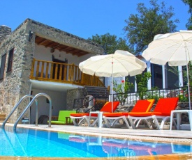 Outstanding Villa with Impressive View and Private Pool near Historical Area in Fethiye