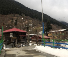 Rize Cancik Dağ Evleri