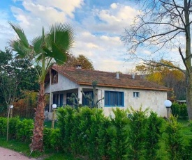 Sapanca Kırkpınar şömine&barbekü , havuzlu villa