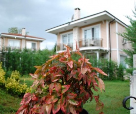 Sapanca Villa La Mira