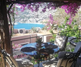 Sea view Bougainvillea 52